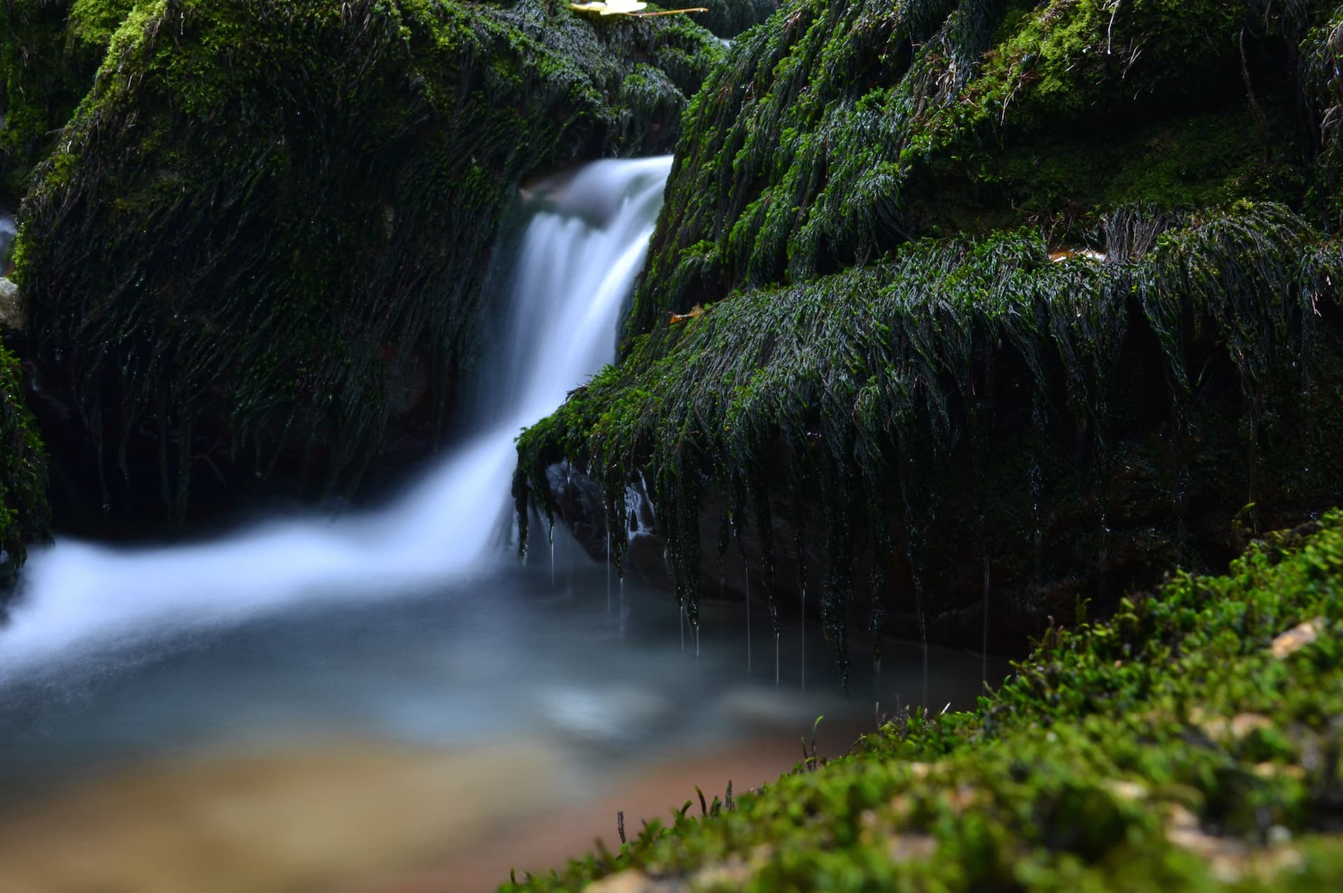 kuca-za-odmor-curl-nature-1.JPG