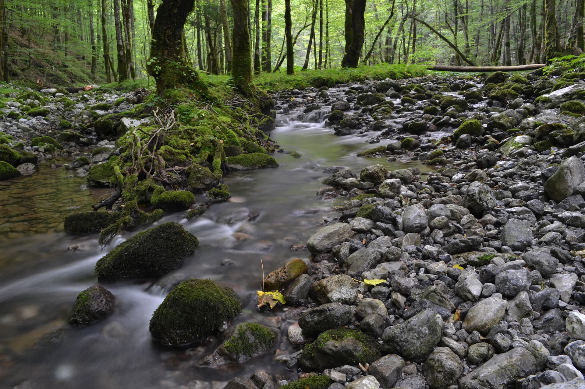 kuca-za-odmor-curl-nature-2.JPG