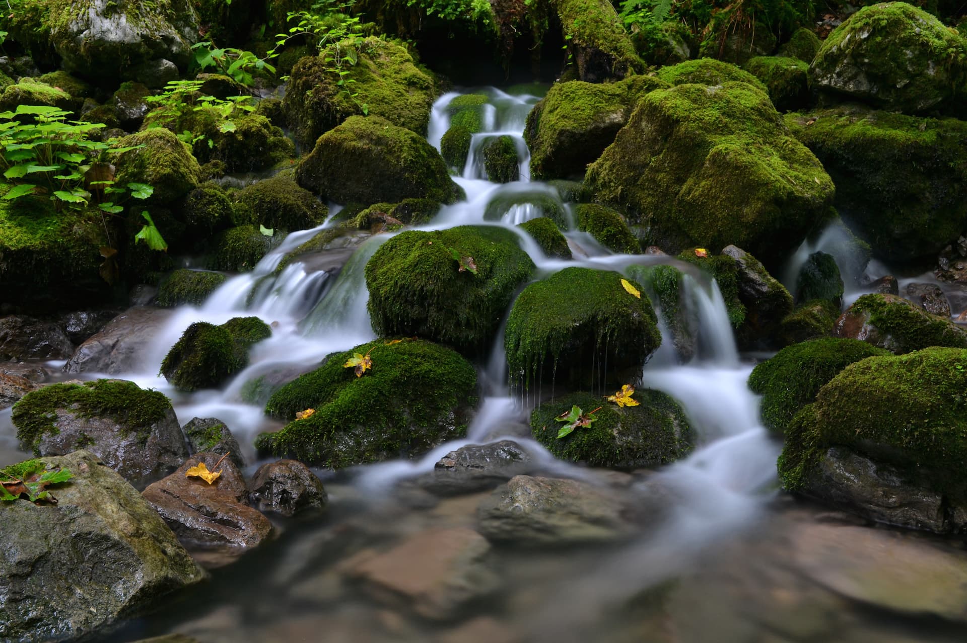 kuca-za-odmor-curl-nature-4.JPG